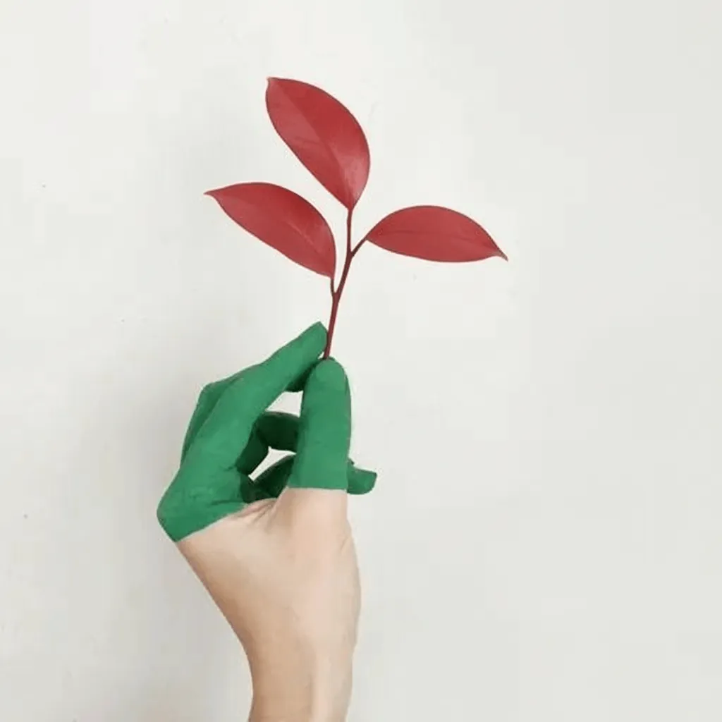 Color Master - After